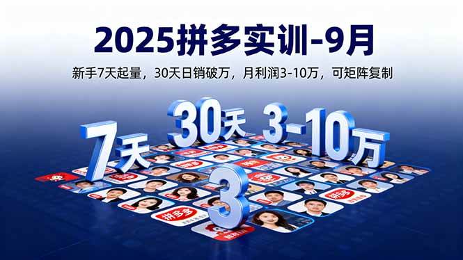 （16008期）2025拼多多实训-9月：新手7天起量,30天日销破万,月利润3-10万,可矩阵复制-千城资源网