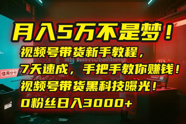 （15595期）月入5万不是梦！视频号带货新手教程，7天速成，手把手教你赚钱！视频号…-千城资源网