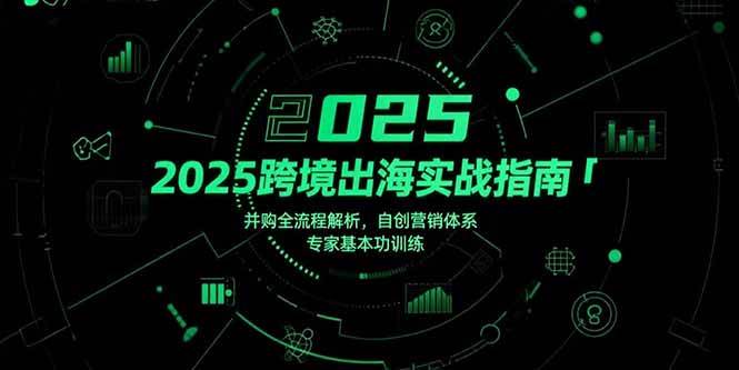 （15503期）2025跨境出海实战指南，并购全流程解析，自创营销体系，专家基本功训练-千城资源网