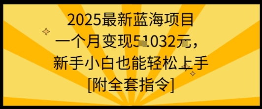 2025最新蓝海项目一个月变现1w+新手小白也能轻松上手【附全套指令】-千城资源网