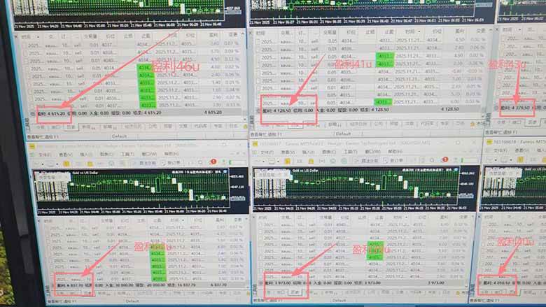 （16653期）2025超前美金自动量化！单人单日收益1000+，线下学习，支持实地考察-千城资源网