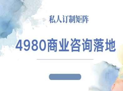 4980商业咨询师落地课程-ip运营高客单教程-千城资源网