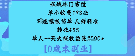 私域冷门赛道:单个收费198米引流模板简单人群精准转化45%单人一天大概收益是1k+-千城资源网
