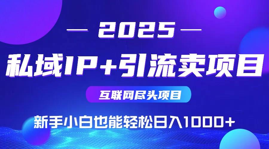（15531期）2025网创尽头项目，私域IP+引流，新手小白也能在家日入1000+-千城资源网