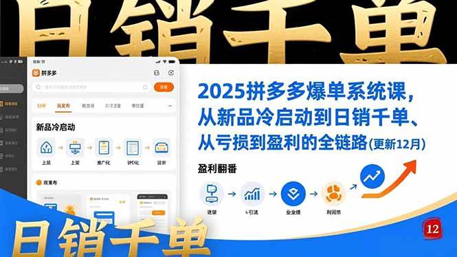 （16894期）2025拼多多爆单系统课，从新品冷启动到日销千单、从亏损到盈利的全链路（更新12月）-千城资源网