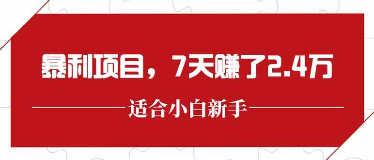 （15228期）最新暴利项目，每单收益轻松在300以上，7天赚了2.4万-千城资源网