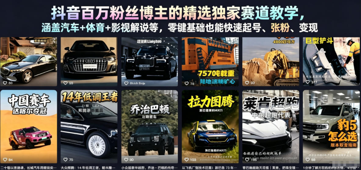 抖音百万粉丝博主的精选独家赛道教学，涵盖汽车+体育+影视解说等，零基础也能快速起号、涨粉、变现-千城资源网