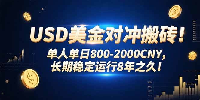 （15551期）USD美金对冲搬砖!单人单日800-2000CNY，长期稳定运行8年之久!-千城资源网