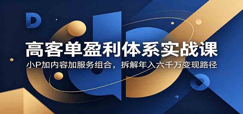 高客单盈利体系实战课：小P加内容加服务组合，拆解年入六千万变现路径-千城资源网