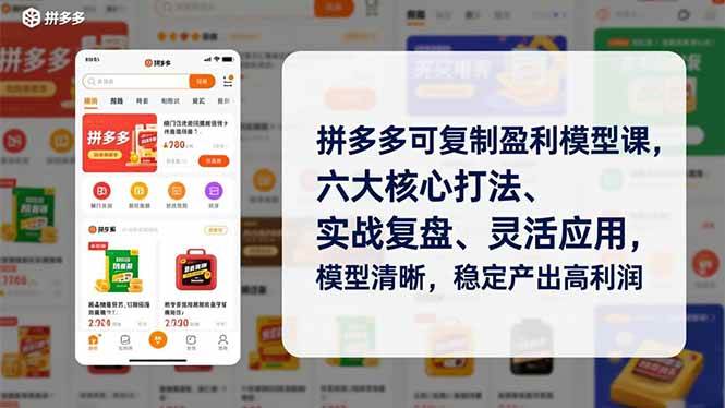 （16952期）拼多多可复制盈利模型课，六大核心打法、实战复盘、灵活应用，模型清晰，稳定产出高利润-千城资源网