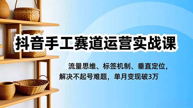 （16667期）抖音手工赛道运营实战课，流量思维、标签机制、垂直定位，解决不起号难题，单月变现破3万-千城资源网