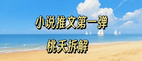 小说推文项目操作全流程第一弹，0粉就能做，门槛低非常适合新手-千城资源网