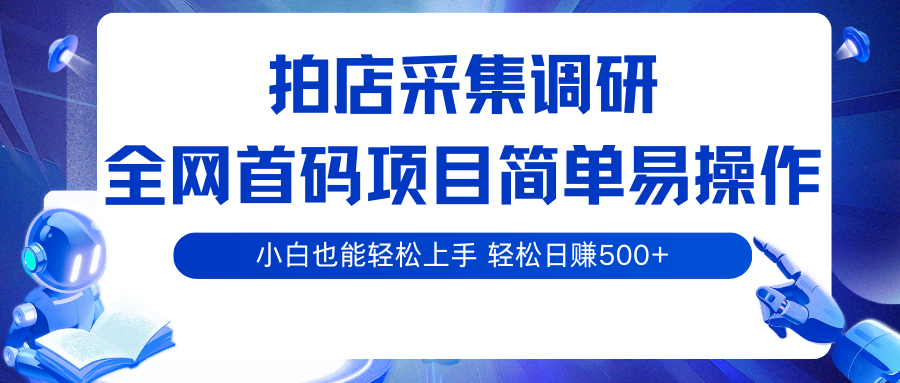 拍店采集调研，全网首码项目，简单易操作， 小白也能轻松上手，轻松日赚500+-千城资源网