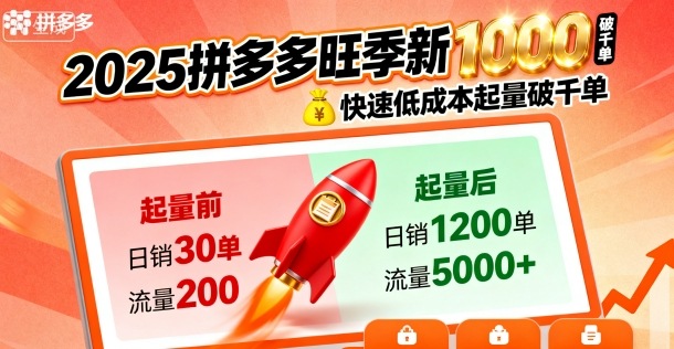 2025拼多多旺季新老店铺——快速低成本起量破千单-千城资源网