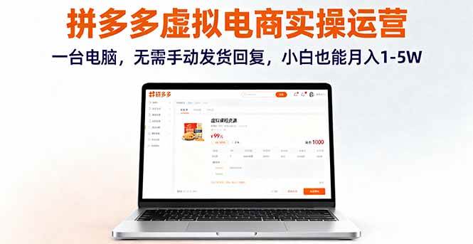 （16138期）拼多多虚拟电商实操运营，一台电脑，无需手动发货回复，小白也能月入1-5W-千城资源网
