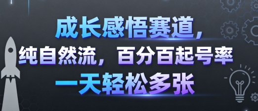成长感悟赛道，纯自然流，百分百起号率 一天轻松多张-千城资源网