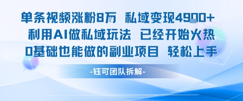 单条视频私域变现4.9k+利用AI做私域玩法 已经开始火热0基础也能做的副业项目轻松上手-千城资源网