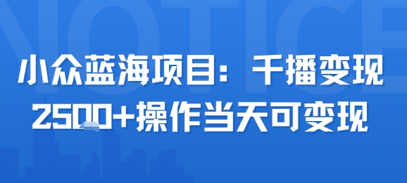 小众蓝海项目，千播变现2.5k+操作当天可变现-千城资源网