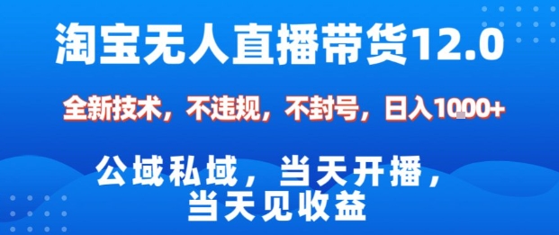 淘宝无人直播12.0，公域私域技术，不封号，不违规布局双十一流量风口，日入1k（独家技术）【揭秘】-千城资源网