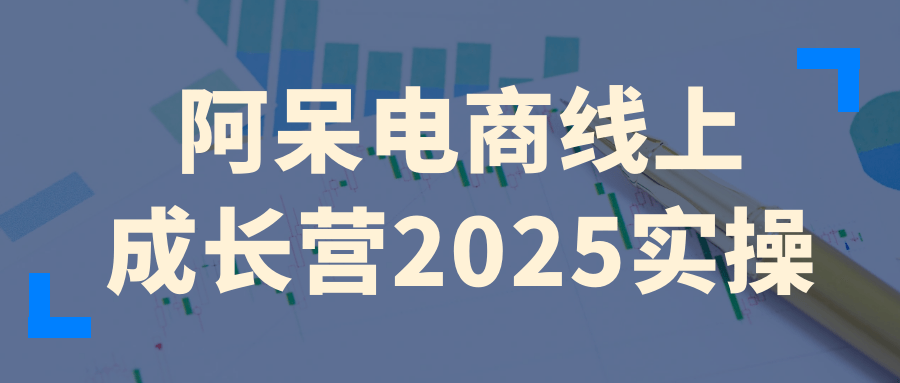 阿呆电商线上成长营2025实操-千城资源网