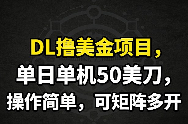 DL撸美金项目，单日单机50美刀，操作简单，可矩阵多开-千城资源网