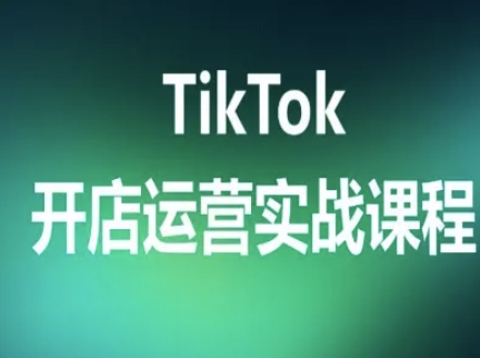 TikTok开店运营实战课程，TK跨境电商实操全流程-千城资源网
