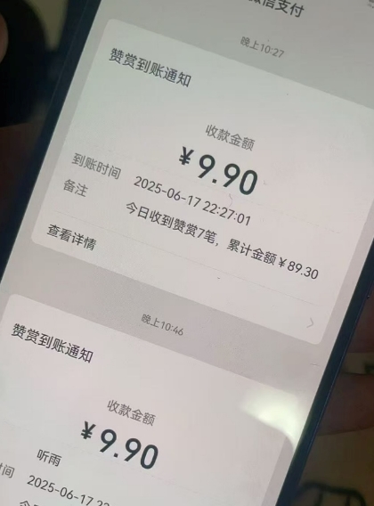 二次元男粉快速变现项目，私域卖虚拟产品，百分利润-千城资源网