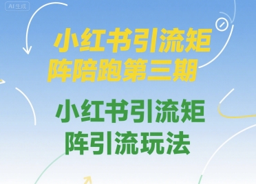 小红书引流矩阵陪跑第三期，小红书引流矩阵引流玩法-千城资源网