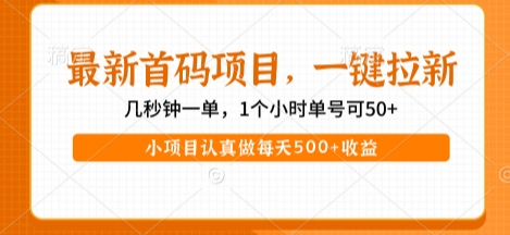 最新首码项目，操作最简单，收益高，一键拉新，1个小时单号可50+，小项目认真做每天5张+收益【揭秘】-千城资源网
