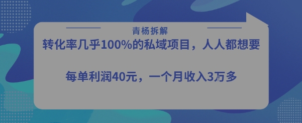 转化率最高的私域项目，每单利润40-50米，月入过1w-千城资源网