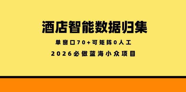 酒店智能数据归集，小众蓝海已经稳定半年之久，单窗口70+零成本矩阵开干【揭秘】-千城资源网
