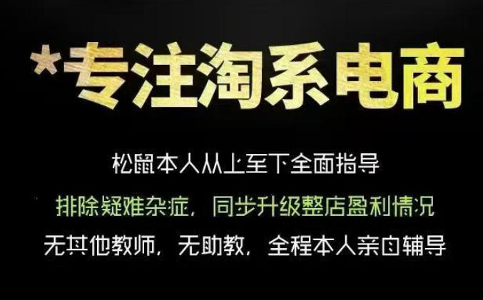 松鼠会电商VIP课程，从基础布局到高阶优化，助你掌握淘宝运营逻辑，提升店铺流量与转化-千城资源网