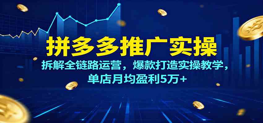 拼多多推广实操，拆解全链路运营，爆款打造实操教学，单店月均盈利5万+-千城资源网