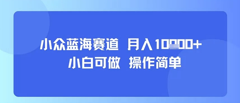 小众蓝海赛道，小白可做，操作简单，每天30分钟，月入1W+-千城资源网