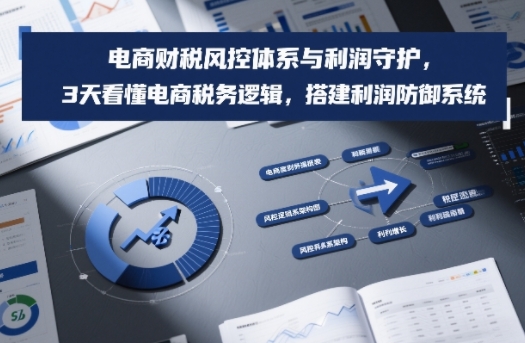 电商财税风控体系与利润守护，3天看懂电商税务逻辑，搭建利润防御系统-千城资源网