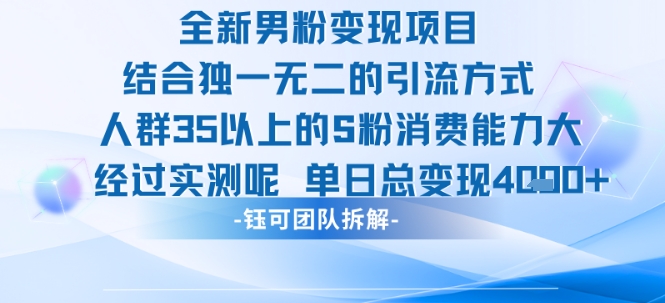 全新男粉变现项目引流人群35以上的男粉消费能力大 经过实测单日变现1k+-千城资源网