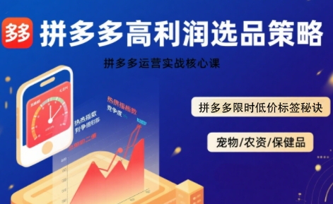 拼多多选品暴利技术实战课，拼多多高利润选品策略，拼多多限时低价标签秘诀-千城资源网