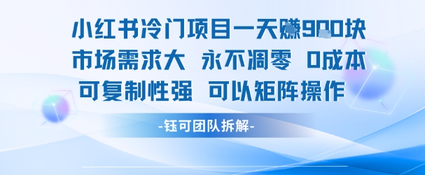 小红书冷门项目一天收益9张，市场需求大，0成本，可复制性强可以矩阵操作-千城资源网