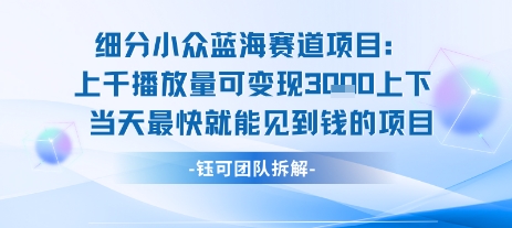 小众蓝海赛道项目：当天变现1k+适合新手操作 +适合长期玩-千城资源网