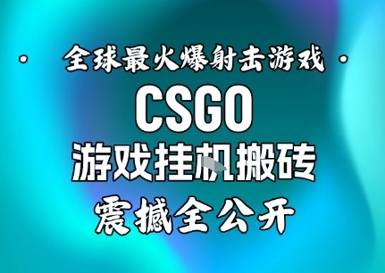 【年底大揭秘】基于全球最火爆的射击CSGO游戏挂G搬砖，日入5张+，震撼公开-千城资源网