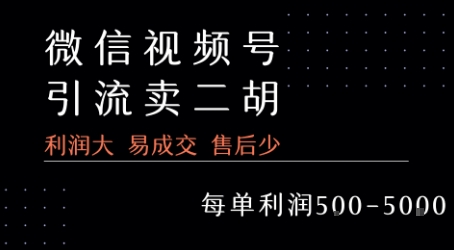 视频号卖二胡教程，利润大 易成交 售后少，一单利润5张+-千城资源网