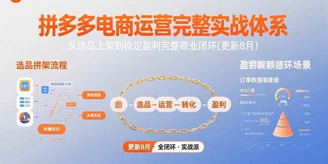 （15579期）拼多多电商运营完整实战体系，从选品上架到稳定盈利完整商业闭环(更新8月)-千城资源网