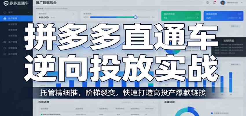 拼多多直通车逆向投放实战：托管精细推，阶梯裂变，快速打造高投产爆款链接-千城资源网
