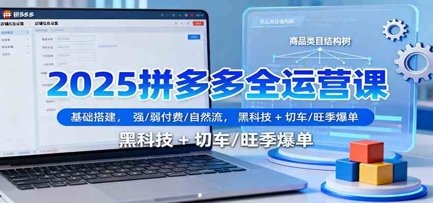 2025拼多多全运营课：基础搭建，强/弱付费/自然流，黑科技 + 切车/旺季爆单-千城资源网