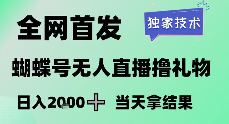 2026最新蝴蝶号无人直播掘金，独家技术，全网首发小白做了一个月收益3W，长期稳定可做【揭秘】-千城资源网