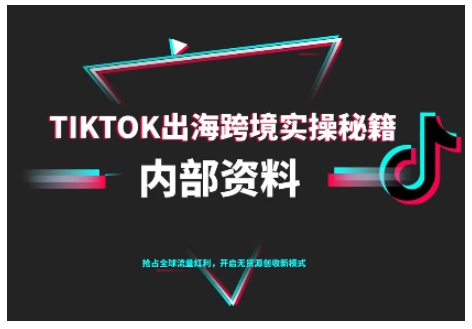 TikTok跨境电商0-1搭建运营，TK出海跨境实操秘籍（10月更新）-千城资源网