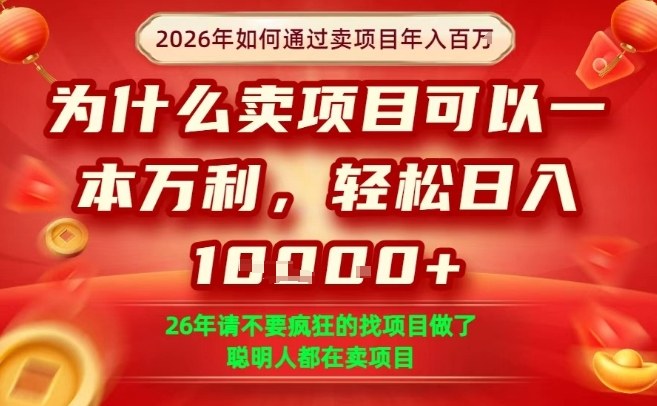 一单净利润1K+，26年想年入100个W，死磕卖项目就够了【揭秘】-千城资源网