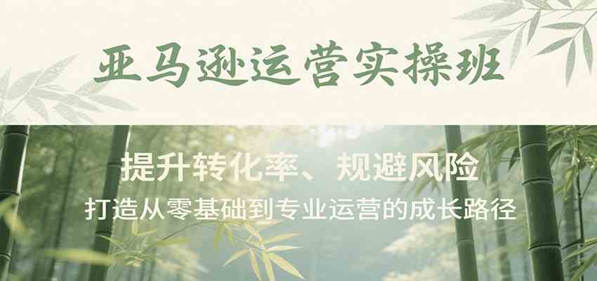 亚马逊运营实操班，提升转化率、规避风险，打造从零基础到专业运营的成长路径-千城资源网