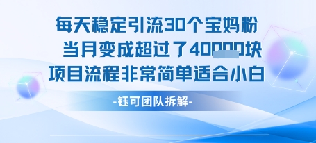 每天稳定引流30个人 当月变成超过了4个W项目流程非常简单适合小白-千城资源网