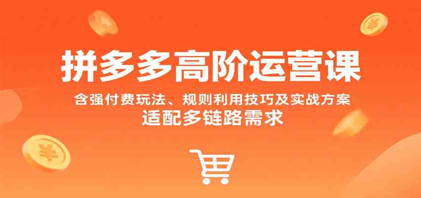 拼多多高阶运营课，含强付费玩法、规则利用技巧及实战方案，适配多链路需求-千城资源网
